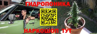 гидра Волжск