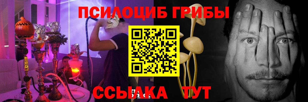 Псилоцибиновые грибы Psilocybe  Вход с VPN  Наро-Фоминск 